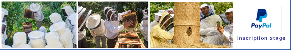 stage apiculture naturelle